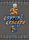 game pic for Sprint Escape